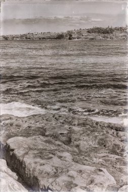 Avustralya'da sydney defne kaya ve bondi beach yakınındaki ocean