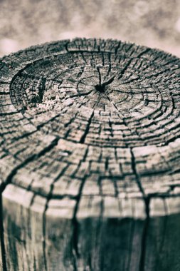 yüzey ağaç arka plan tahıl gibi soyut doku