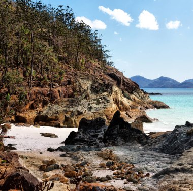 Plaj Whitsunday Adası Avustralya'nın doğal görünümü