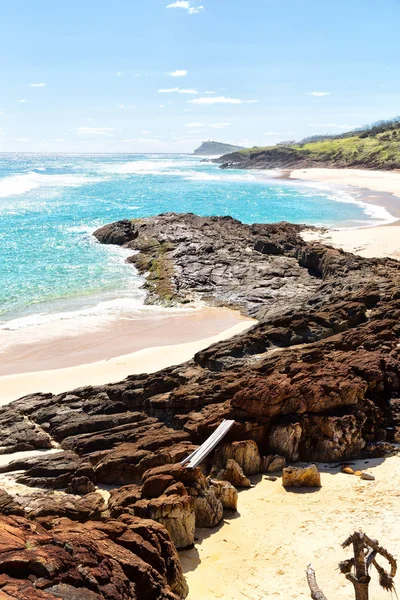 Ausztráliában a beach island, a fa és a sziklák — Stock Fotó