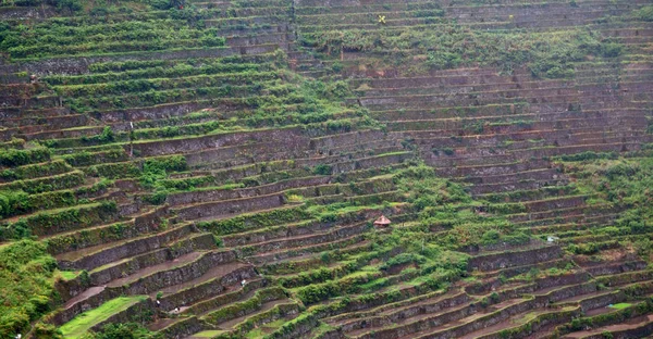 Flou Dans Champ Terrasse Philippines Pour Coultivation Riz Site Unesco — Photo