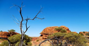  Kral Kanyonu doğa vahşi ve taşra
