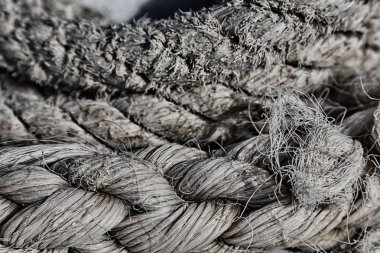 Gezinti whit vassel ip kavramı 