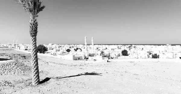 Près de l'océan vue sur le paysage urbain et la paume — Photo