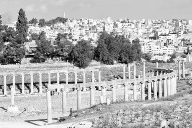 : Jerash jordan antik arkeolojik site turist için klasik miras