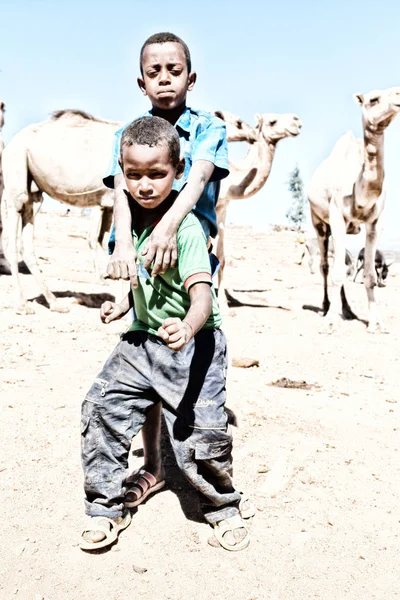埃塞俄比亚 Babile 2018年1月 在骆驼市场上的未识别的年轻男孩 — 图库照片