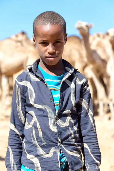 Etiopien Babile Circa Januari 2018 Oidentifierade Arbetare Ung Pojke Kameler — Stockfoto