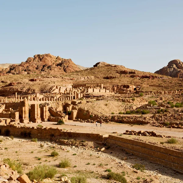 Petra Jordan Sütunları Mimari Miras Antika Sokak Dolu — Stok fotoğraf