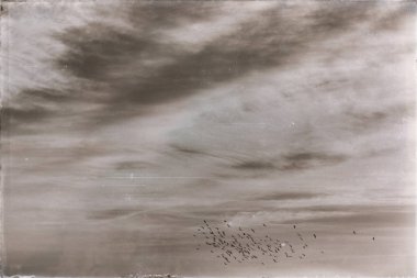  açık gökyüzü günbatımı ışık ve bulut yakın kuş sürüsü