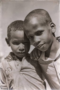 Etiyopya'da Afrika genç erkek deve piyasada 
