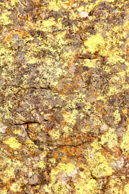 bir kaya yüzeyi soyut doku arka 