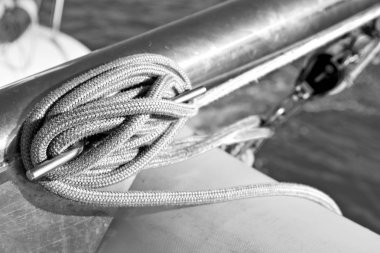 Gezinti whit vassel ip kavramı 