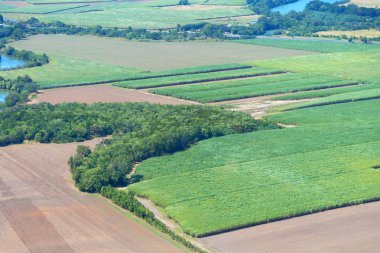 colutivation yüksek alan