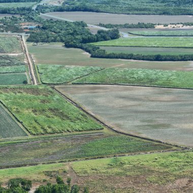 colutivation yüksek gelen Avustralya alanındaki doku 