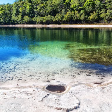 Avustralya Gölü mckenzie turizmde ağaç ve cennet