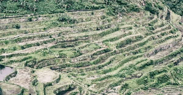 Borrão Campo Terraço Filipinas Para Coultivation Arroz Site Unesco Banaue — Fotografia de Stock