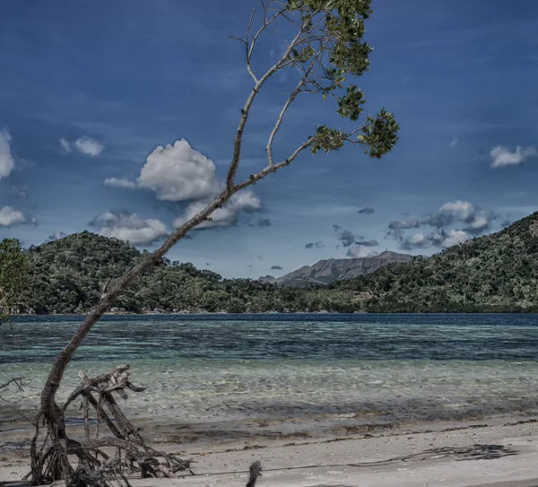 Auf Der Philippinischen Insel Schöne Cosatline Baumhügel Und Boot Für — Stockfoto