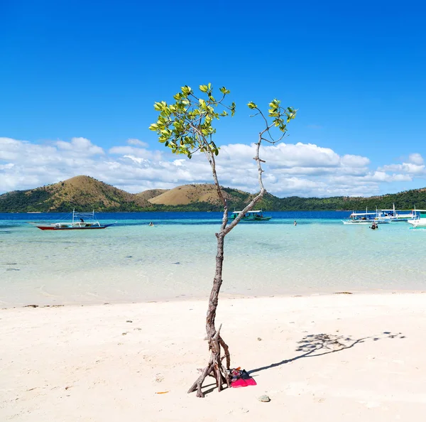 Isla Filipinas Hermoso Cosatline Árbol Colina Barco Para Turista — Foto de Stock