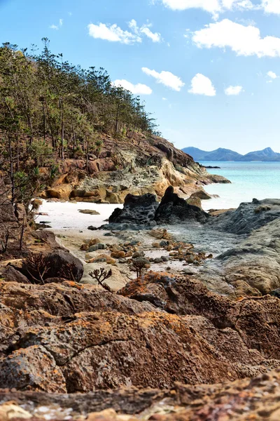 Austrália Praia Ilha Whitsunday Árvore Rochas — Fotografia de Stock