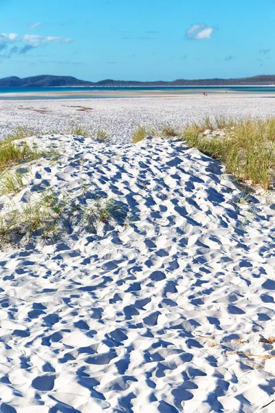 Australien Stranden Whitsunday Som Paradise Koncept Och Koppla — Stockfoto