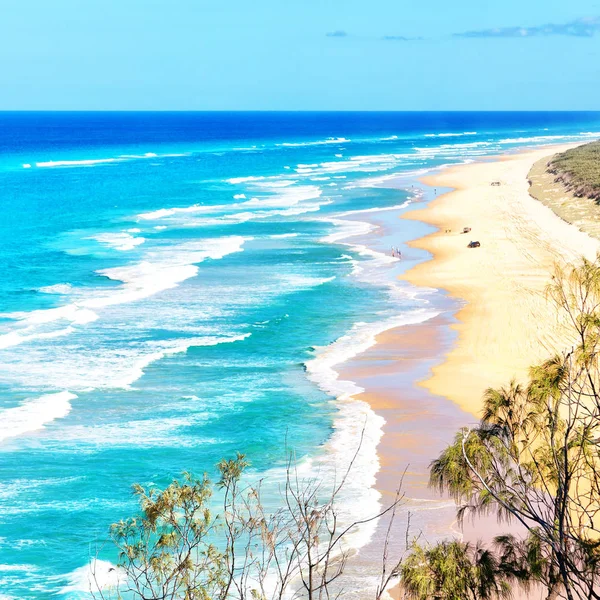 Australia Playa Whitsunday Isla Árbol Las Rocas — Foto de Stock