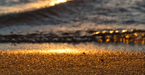 blurred in  australia the concept of relax in the sea reflex of the golden sun