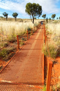 Avustralya outback Kanyonu doğa vahşi ve bush