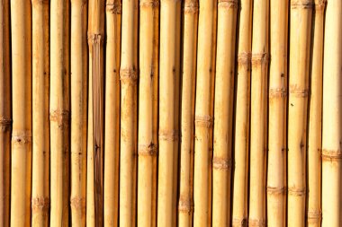 soyut doku arka plan bambu duvar 