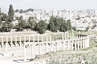 : Jerash jordan antik arkeolojik site turist için klasik miras