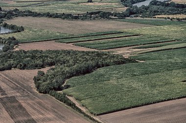 colutivation yüksek gelen Avustralya alanındaki doku 