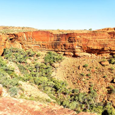  Kral Kanyonu doğa vahşi ve taşra