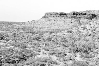 Avustralya vahşi Kral Kanyonu doğa ve taşra