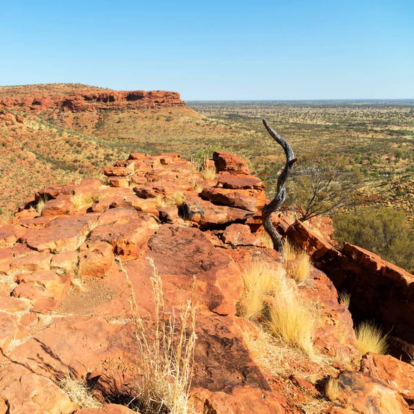 De kings canyon aard wild en de outback — Stockfoto