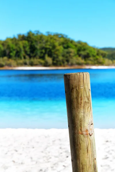 Australië Lake Mckenzie Toerisme Boom Ontspannen Het Paradijs — Stockfoto