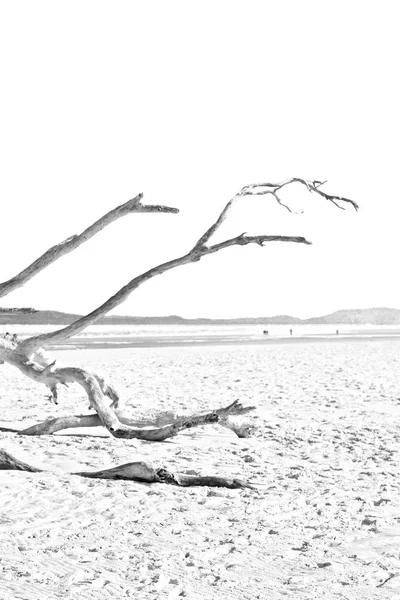 ชายหาดท าวสวรรค ในเกาะว นเดย ออสเตรเล — ภาพถ่ายสต็อก