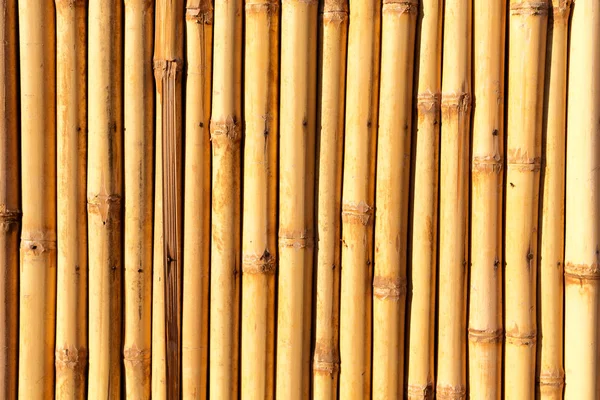 Abstracte textuur achtergrond van de muur van bamboe — Stockfoto