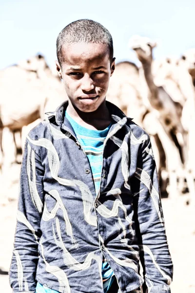 Ethiopia Babile Circa January 2018 Unidentified Worker Young Boy Camels — Stock Photo, Image