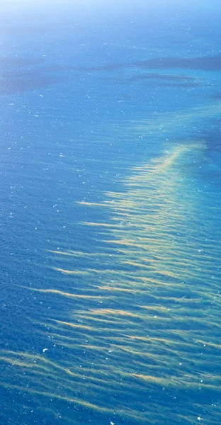 Природном Парке Большой Риф Высокой Концепции Парадизе — стоковое фото