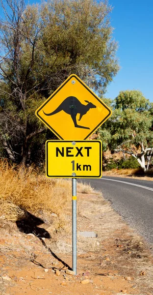 Jel Vad Kenguru Likee Koncepció Biztonság Ausztráliában — Stock Fotó