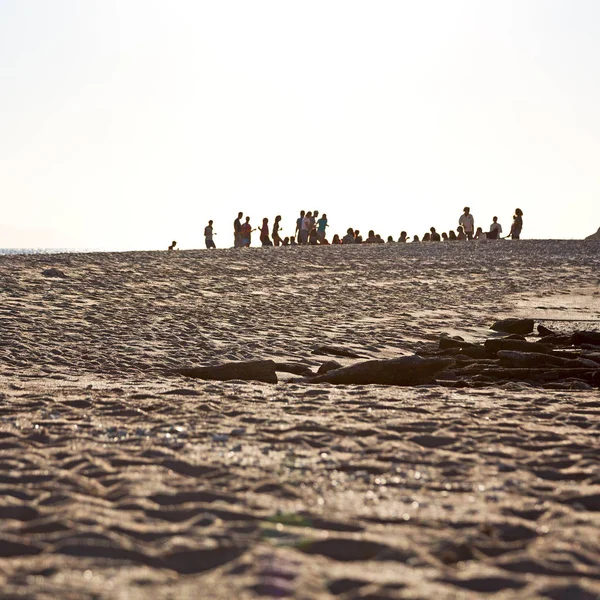 La gente fa festa in spiaggia — Foto Stock