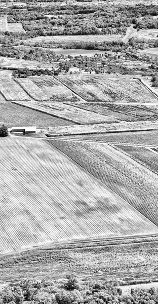 Do alto campo de colutivação — Fotografia de Stock