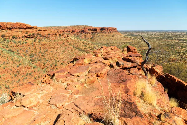 De kings canyon aard wild en de outback — Stockfoto