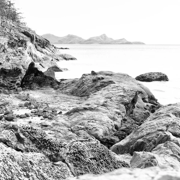 在澳大利亚降灵岛的海滩树和岩石 — 图库照片