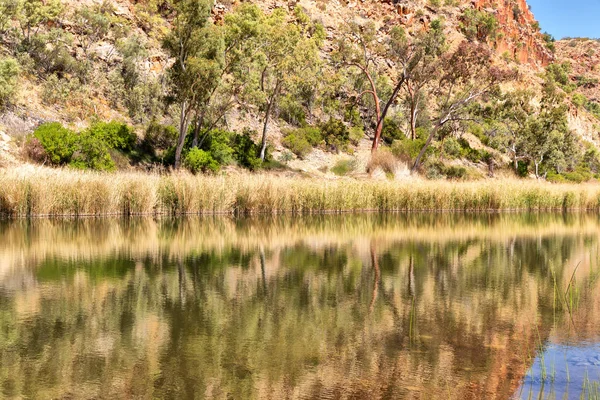 Australien Natuarl Kings Canyon Und Der Fluss Der Nähe Des — Stockfoto