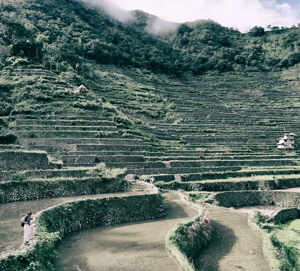 Desenfoque Filipinas Terraza Campo Para Coultivation Arroz Banaue Unesco Sitio —  Fotos de Stock