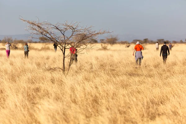 Etiópia África Parque Nacional Turista Procura Animais Silvestres — Fotografia de Stock