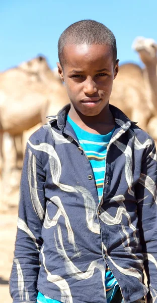 В Эфиопии африканского мальчика на верблюжьем рынке — стоковое фото