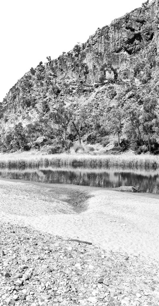 Australien Naturlig Kings Canyon Och Floden Nära Berget Naturen — Stockfoto