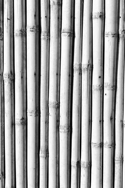 Абстрактный текстурный фон бамбуковой стены — стоковое фото