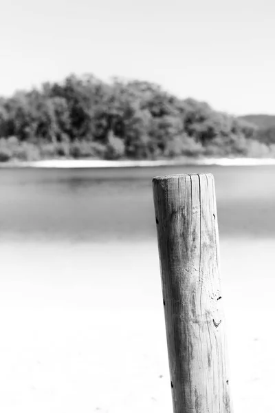 Australien Lake Mckenzie Turism Träd Och Koppla Paradiset — Stockfoto